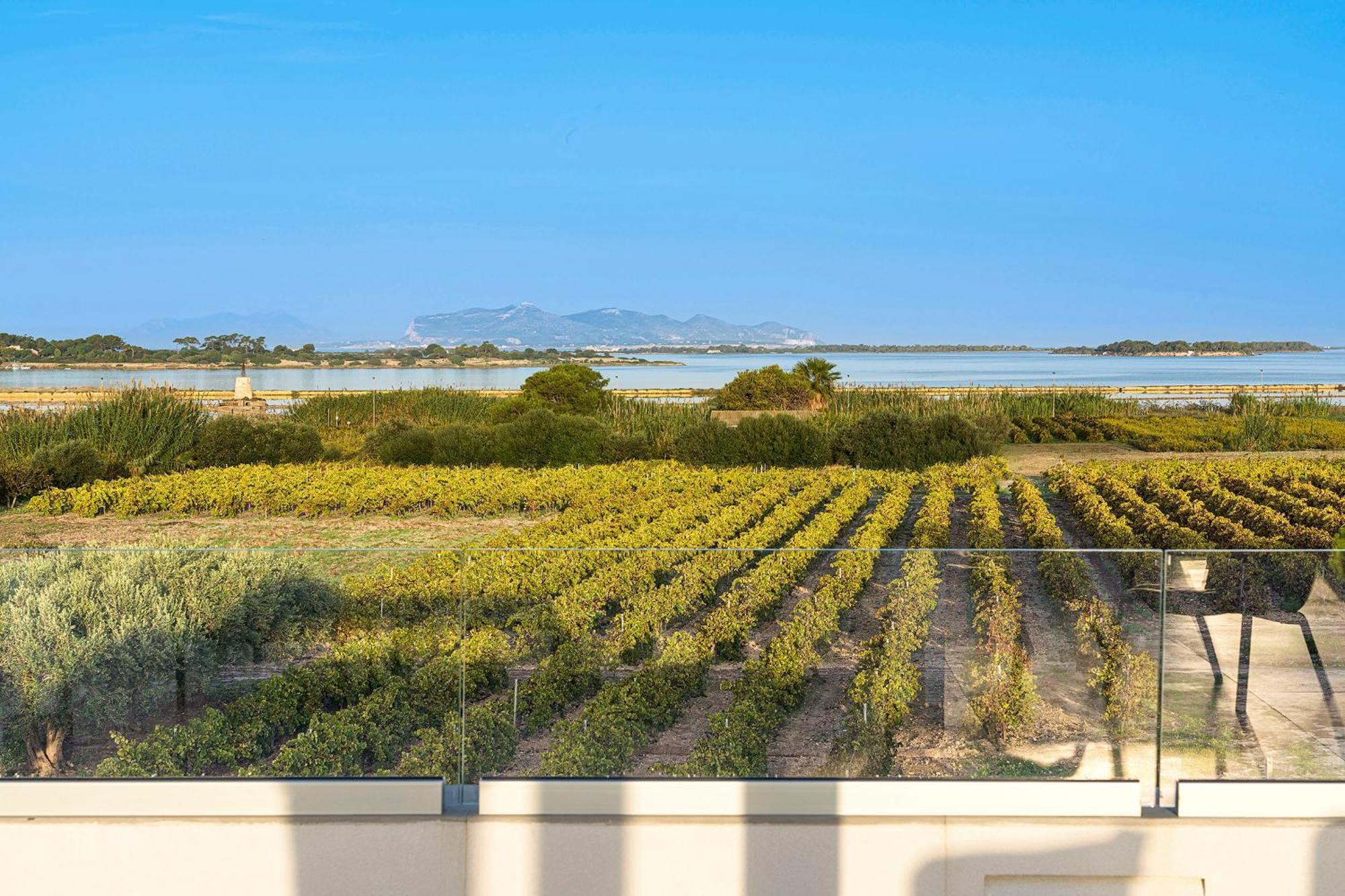 Martina'S Vineyard - Villa มาร์ซาลา ภายนอก รูปภาพ